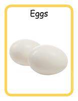 Educ-poster-Eggs