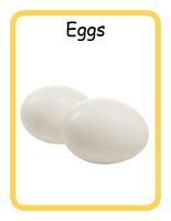 Educ-poster-Eggs