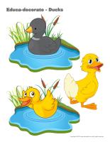 Educa-decorate-Ducks