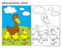 Educa-symmetry-Ducks