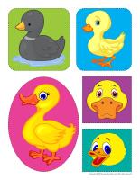 Stickers-Ducks