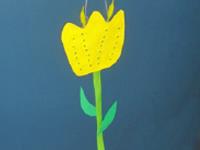Yellow tulip-1