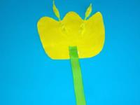 Yellow tulip-5