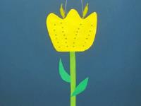 Yellow tulip-9