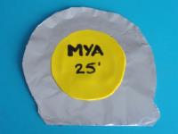 My tape measure-5