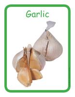 Educ-poster-Garlic