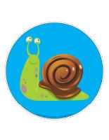 My snail path