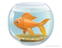 Models-Aquariums Models-Aquariums