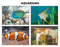 Poni discovers and presents-Aquariums