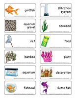 Word flashcards-Aquariums