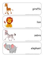 Giant word flashcards-Safari