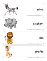 Giant word flashcards-The zoo