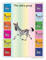 Group identification-Zebras
