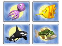 Fish-1 Fish-1