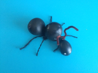 Inflated ant-7