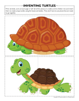 Inventing-turtles-1