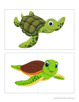 Inventing-turtles-3