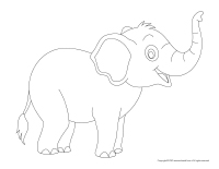 Jungle animals