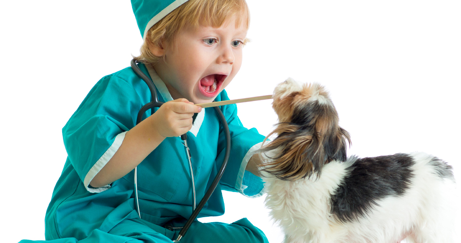 Kits for future veterinarians - Extra activities - Educatall