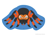 Lacing-Spiders