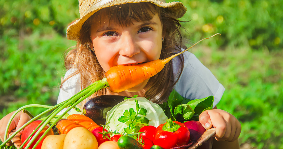 Let's harvest pictures of vegetables - Extra activities - Educatall