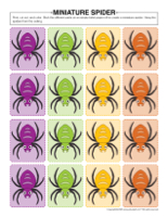 Miniature spider