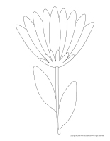Models-Garden-flowers