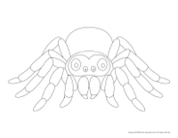 Models-Spiders