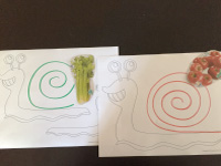 One snail, five activities-4