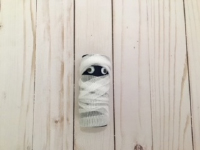 Paper Roll Mummies-3