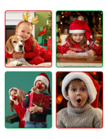 Picture game-Christmas 2025-2