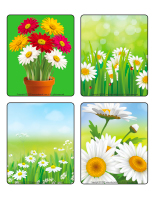 Picture game-Daisies-2