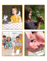 Picture-game-Frogs-1