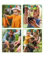 Picture game-Garden-1