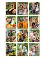 Picture game-Garden-3