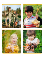 Picture game-Harvest time 1