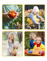 Picture game-Harvest time 2