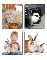 Picture game-Rabbits-2