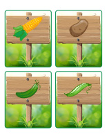 Picture game-Vegetable garden-2