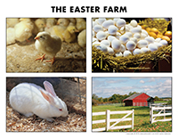 Poni discovers and presents-The Easter farm