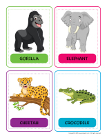 Role play-Zoo-1