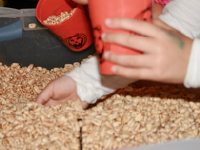 Sensory bin surprises used for arts & crafts-14