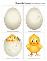 Sequential story-From the egg to the chick