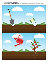 Sequential story-Vegetable garden
