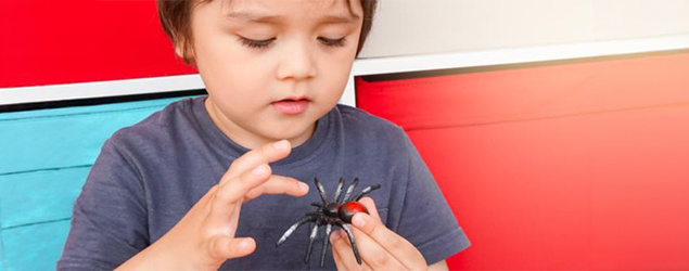 Manipulation spider