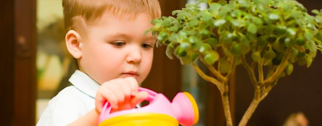 Benefits associated with plants in daycares
