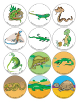 Story and memory game-Reptiles-2