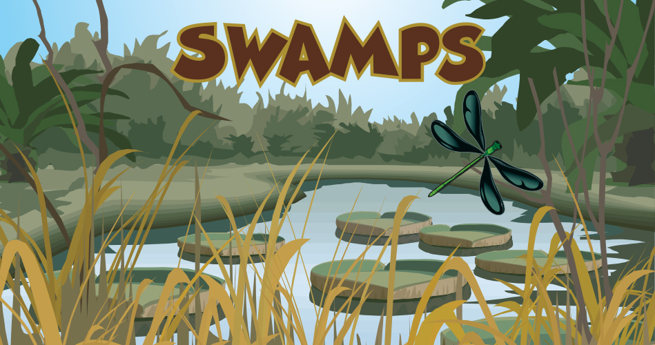 Swamps - Theme and activities - Educatall