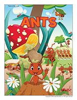 Ants