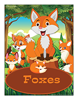 Foxes